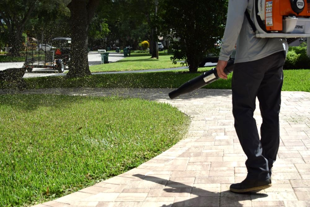 Leaf Blowing Driveway