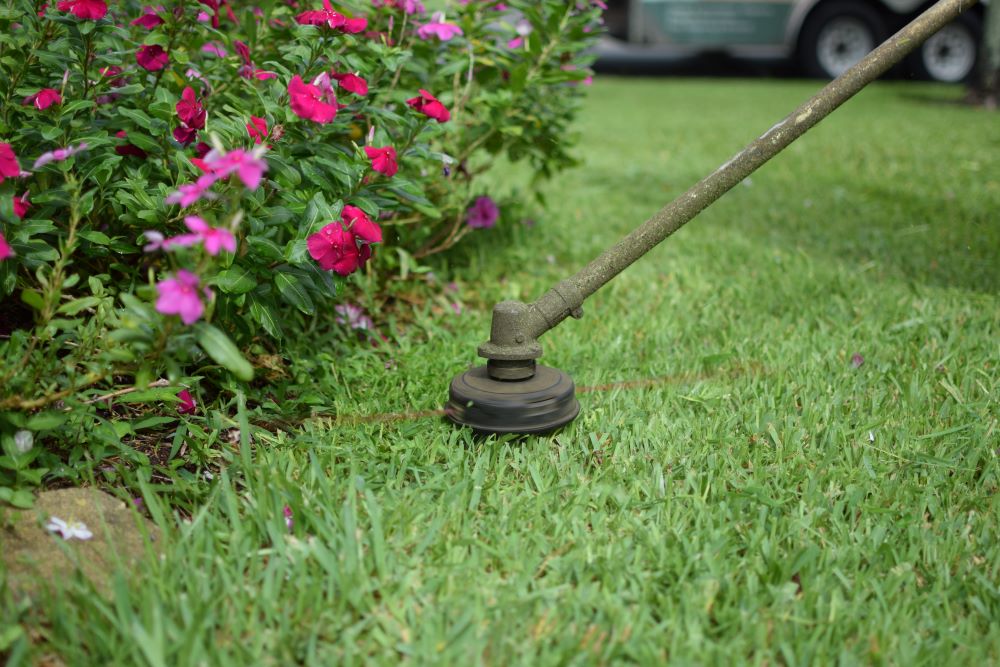 Trimming of flower beds.