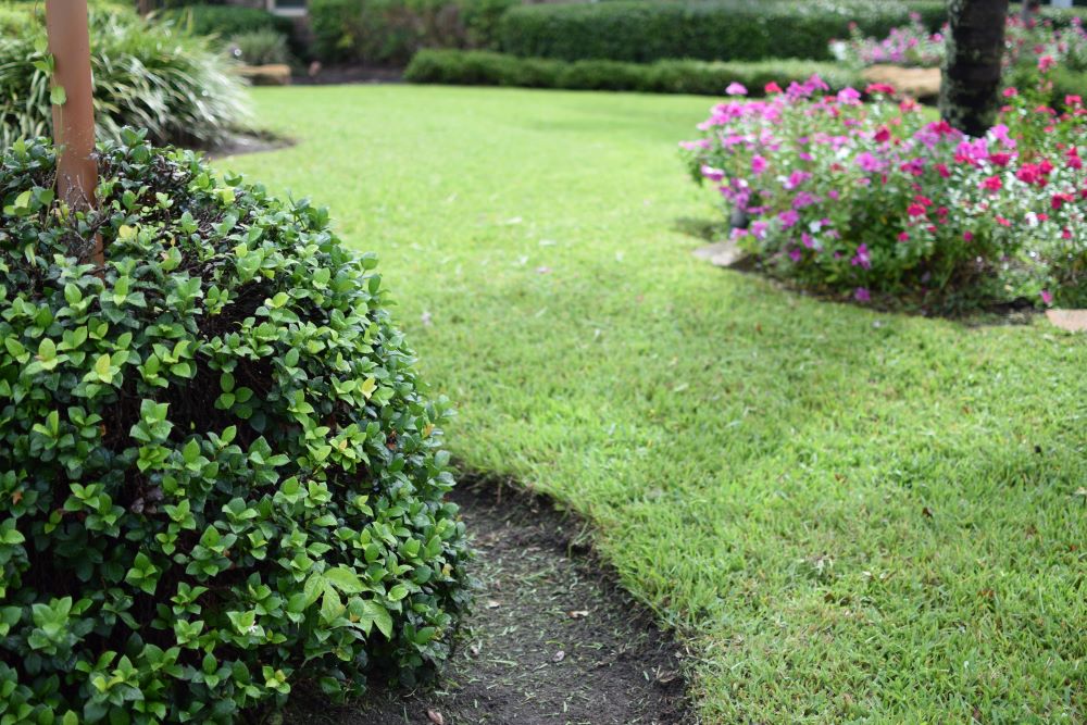Well Maintained Lawns