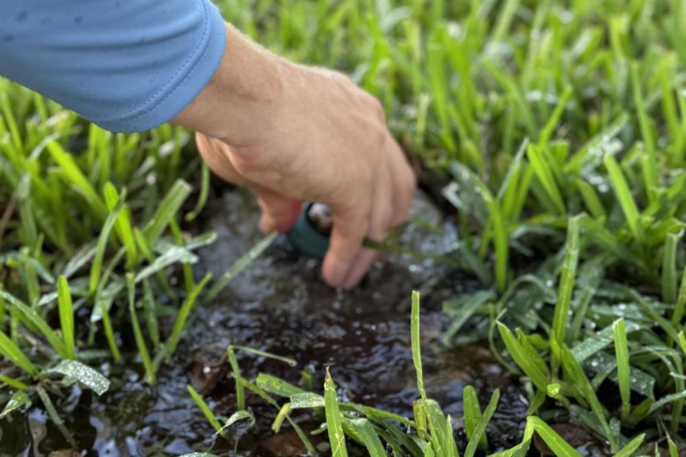 Sprinkler Head Repair (1)